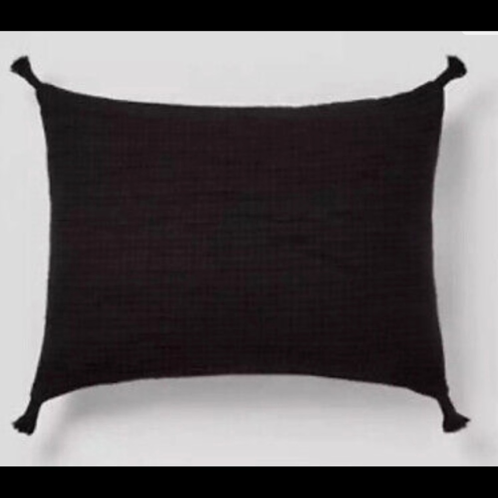 COPY - 🌹- Threshold . Double cloth sham with corner tassels